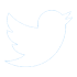 Twitter Advertising